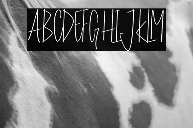 Stay Cool Font examples