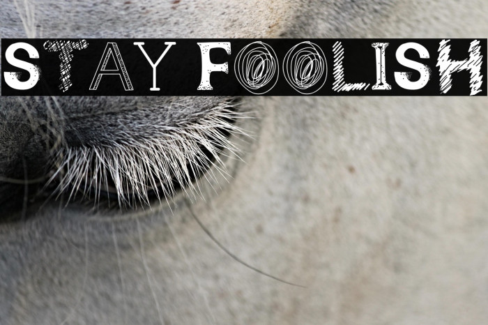 Stay Foolish Example 1