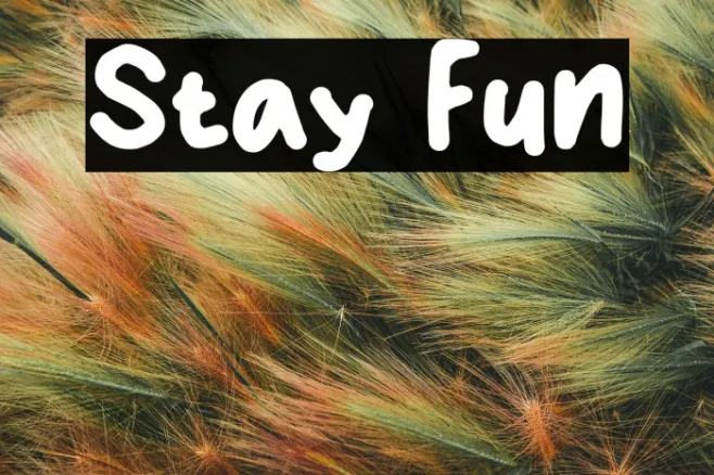 Stay Fun Example 1