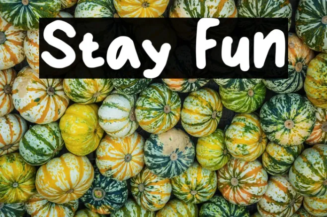 Stay Fun Example 2