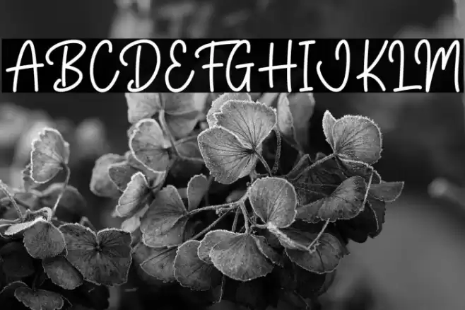 Stay Gold Font examples