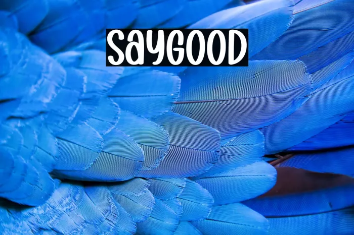 Stay Good Example 2