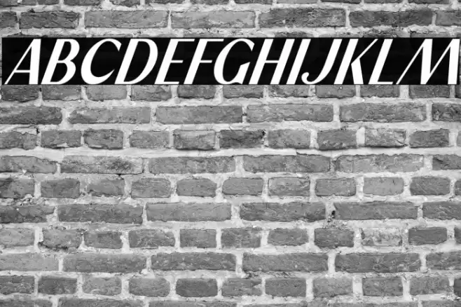 Stay High Italic Font examples