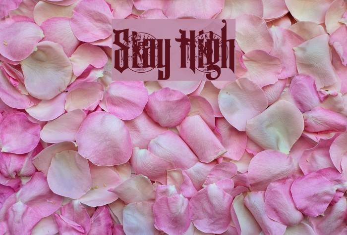 Stay High Font examples