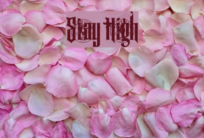 Stay High Example 1
