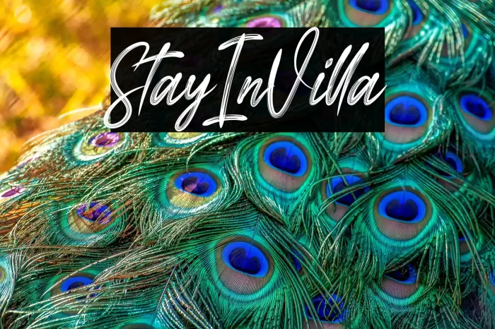 Stay In Villa Example 1