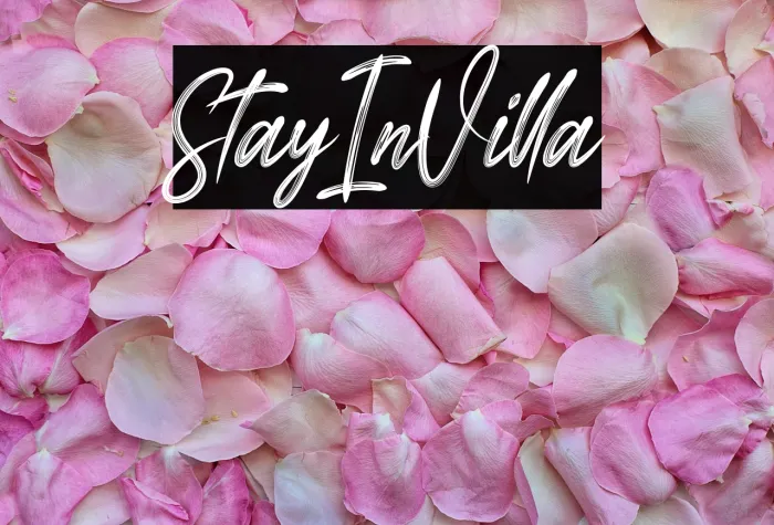 Stay In Villa Example 3