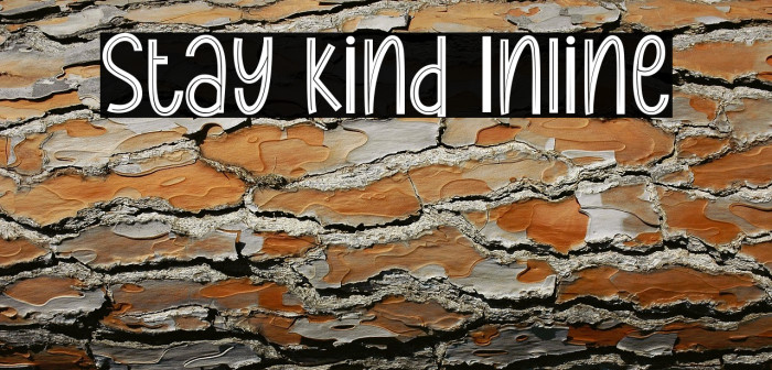 Stay Kind Inline Example 2
