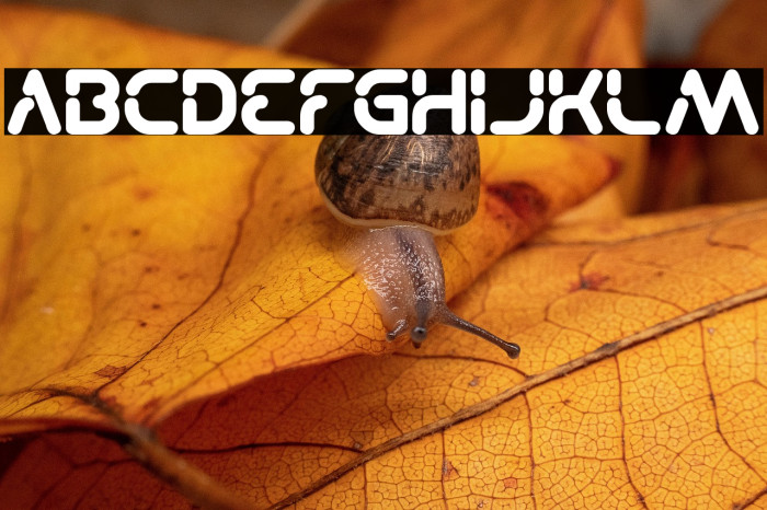 Stay Kind and REPEAT Bold Example 2