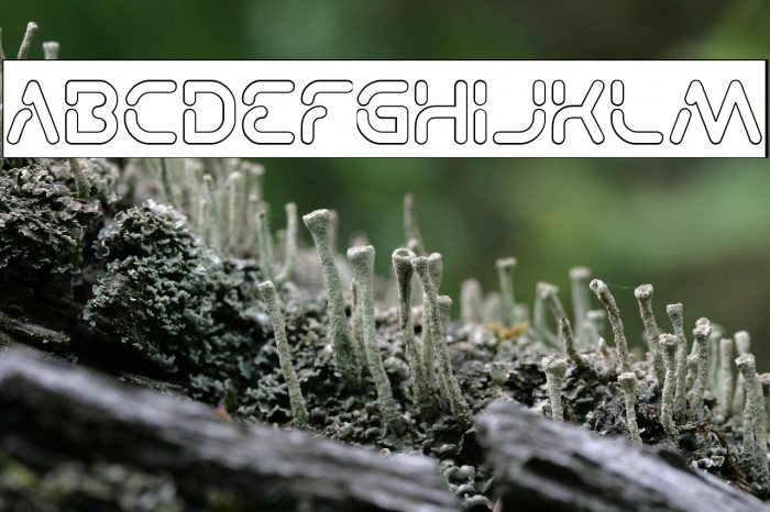 Stay Kind and REPEAT-Hollow-Inv Example 2