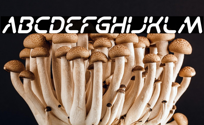 Stay Kind and REPEAT Italic Example 3