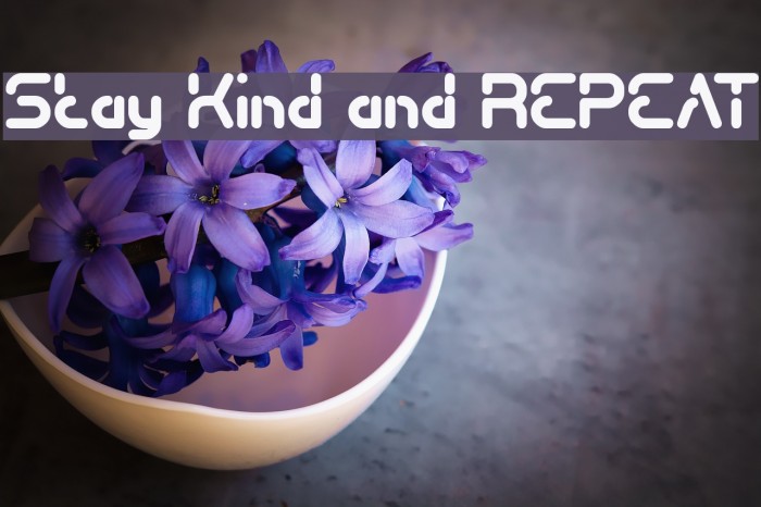 Stay Kind and REPEAT Example 2