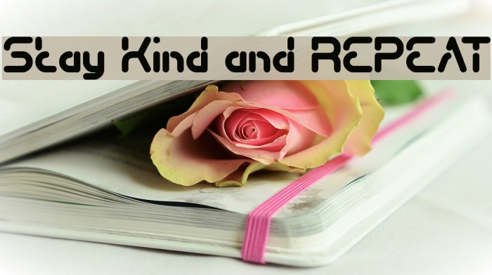 Stay Kind and REPEAT Example 3