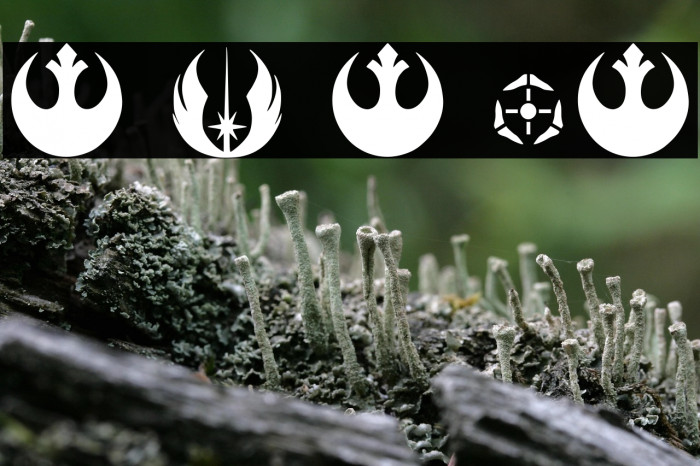 Stay On Target Regular Example 1