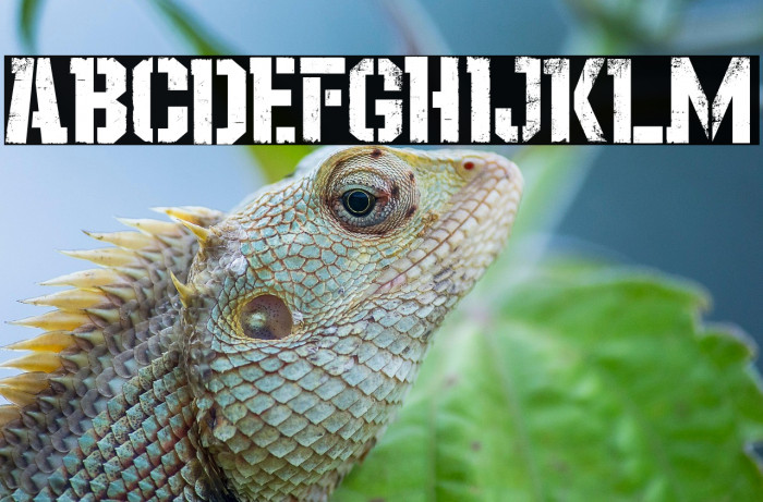 Stay On The Ground Example 1