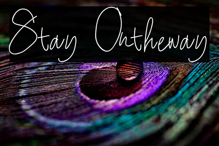 Stay Ontheway Example 1