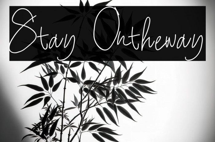 Stay Ontheway Example 2