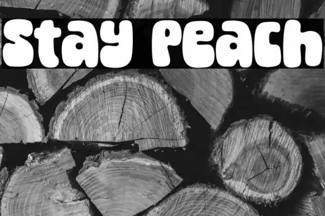Stay Peach 字体 examples