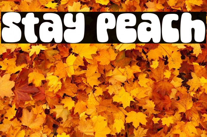 Stay Peach Example 3