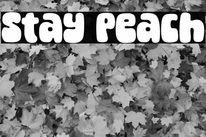 Stay Peach 字体 examples