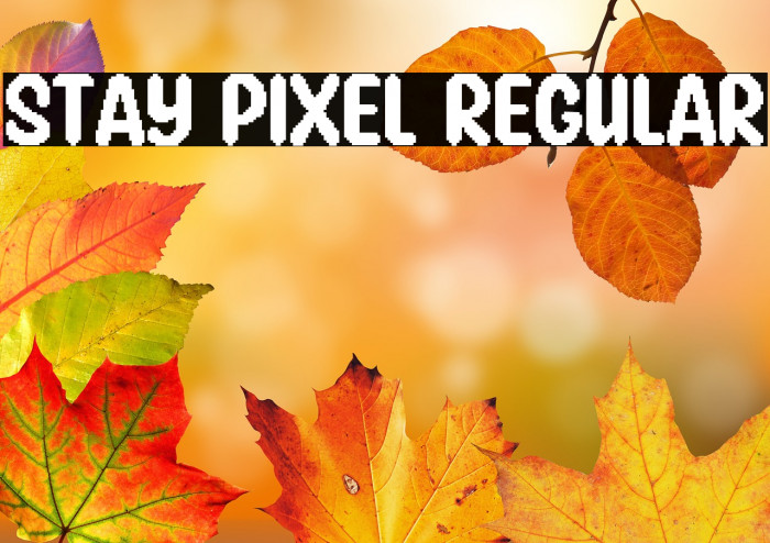 Stay Pixel Regular Example 3