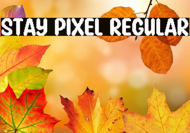Stay Pixel Regular Example 3
