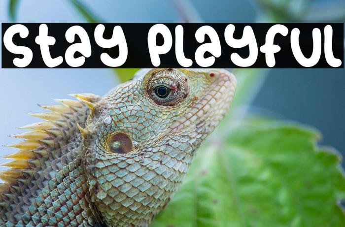 Stay Playful Example 3