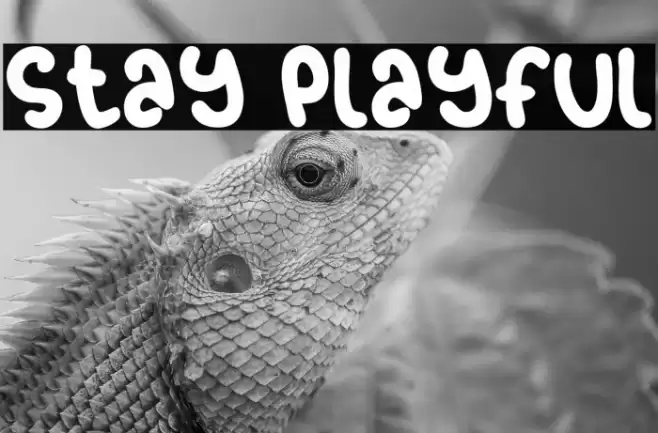 Stay Playful Font examples