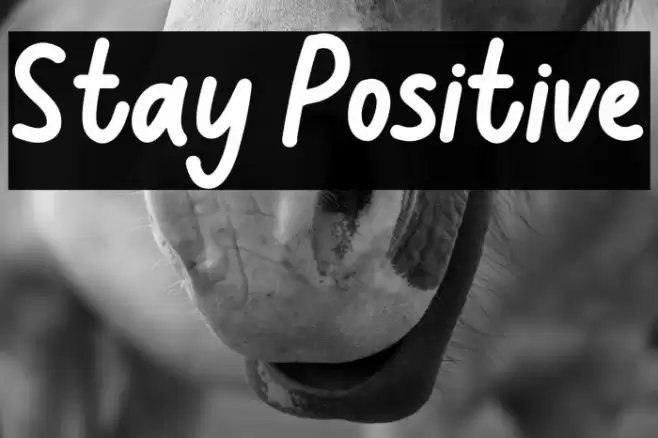 Stay Positive Font examples