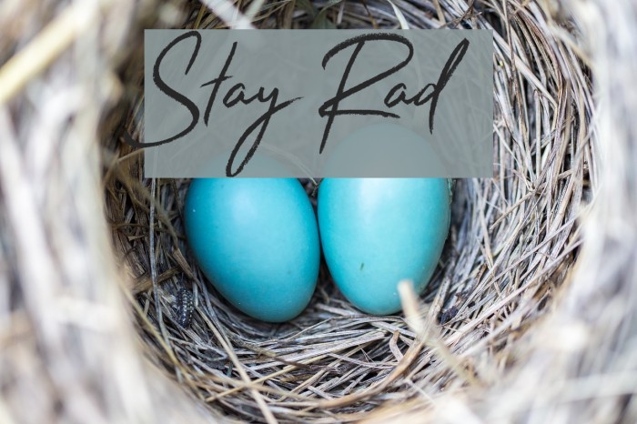 Stay Rad Font examples