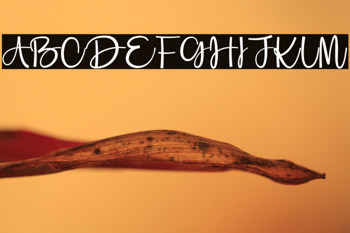 Stay Smile Example 1