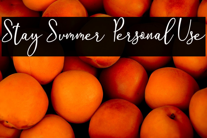 Stay Summer - Personal Use Example 2