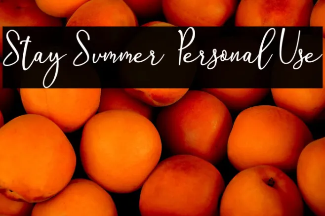 Stay Summer - Personal Use Example 2