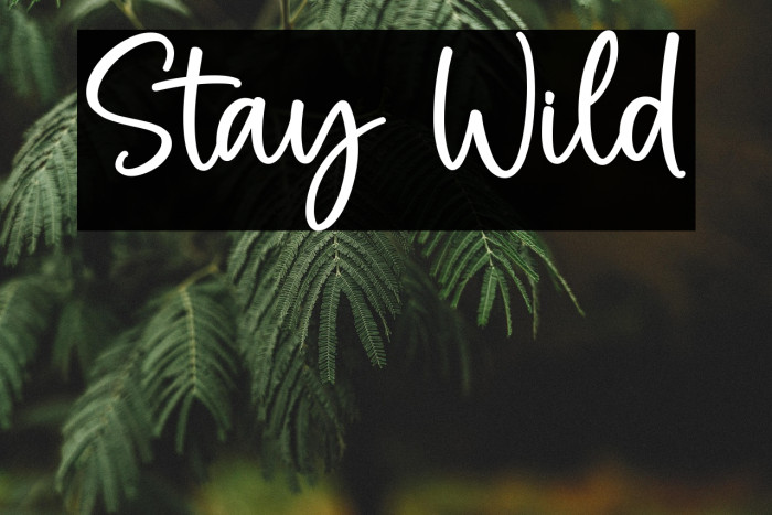 Stay Wild Example 1