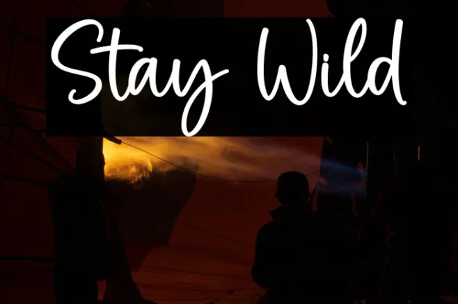 Stay Wild Example 2