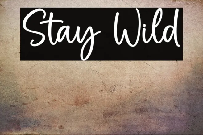 Stay Wild Example 3