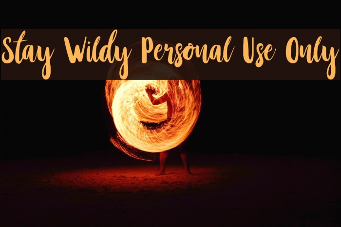 Stay Wildy Personal Use Only Font examples