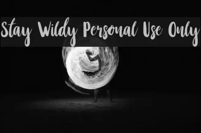 Stay Wildy Personal Use Only Font examples
