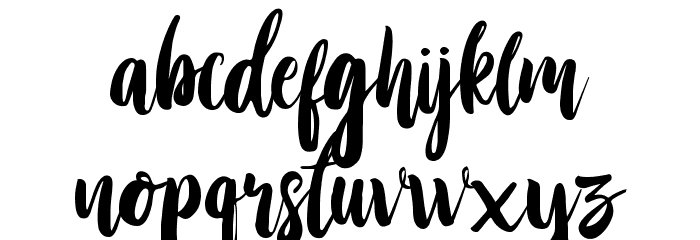 Stay Wildy Personal Use Only Font LOWERCASE