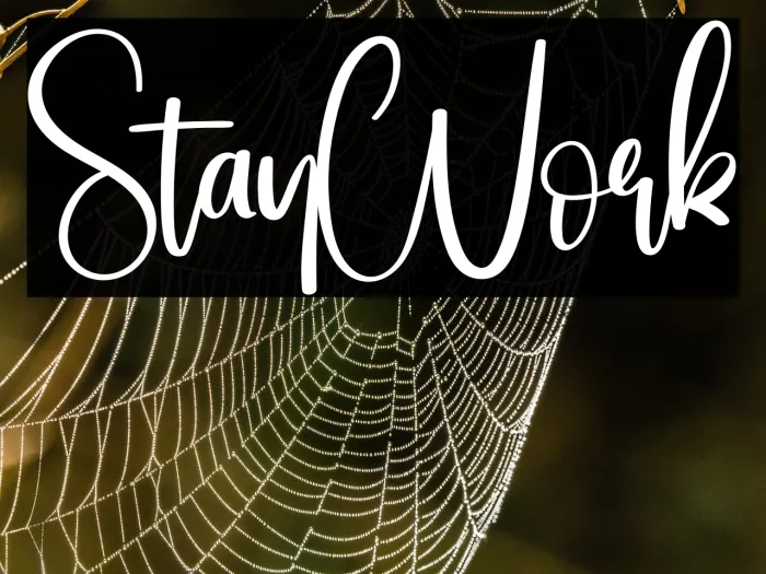 Stay Work Example 2