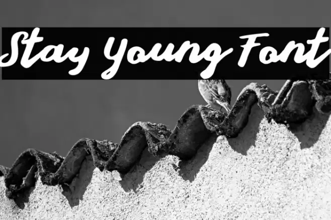 Stay Young Font Font examples