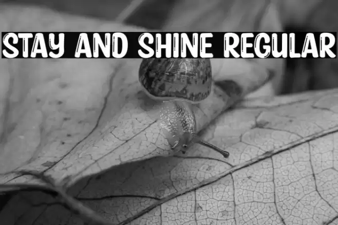 Stay and Shine Regular Font examples