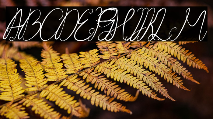 Stay at Home Stay at Home Example 1