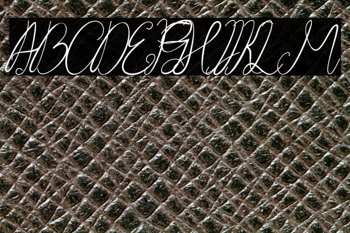 Stay at Home Stay at Home Example 2