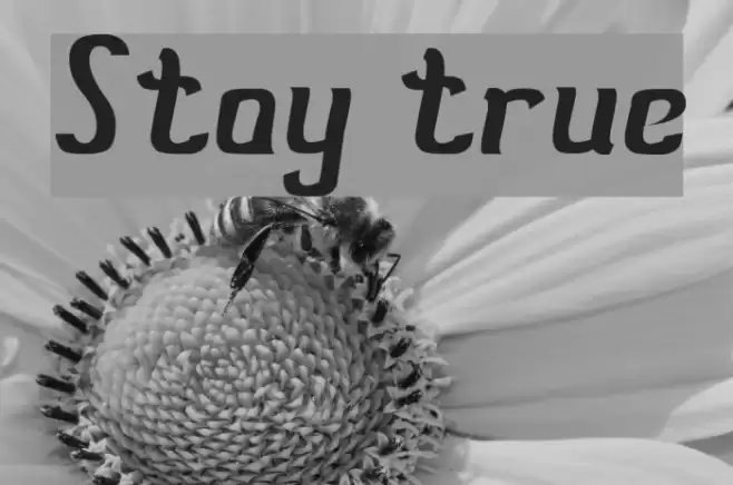 Stay true Font examples