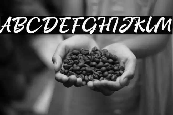 StayHomeScriptPERSONAL-Reg Font examples