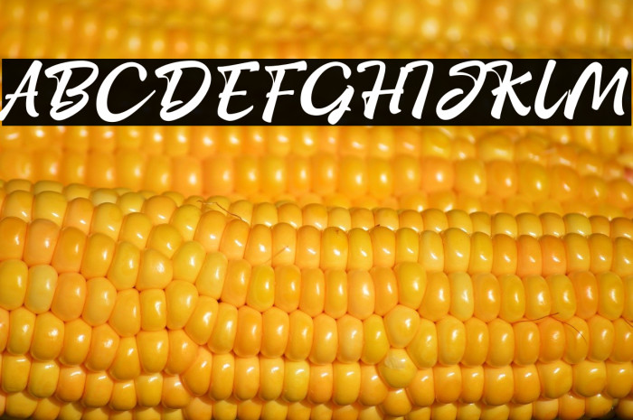 StayHomeScriptPERSONAL-Reg Example 2