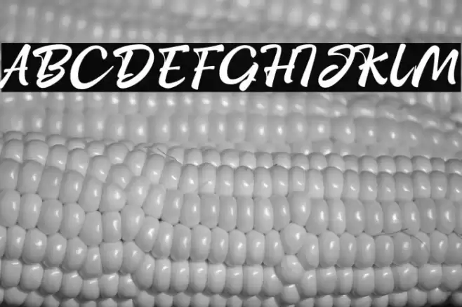 StayHomeScriptPERSONAL-Reg Font examples