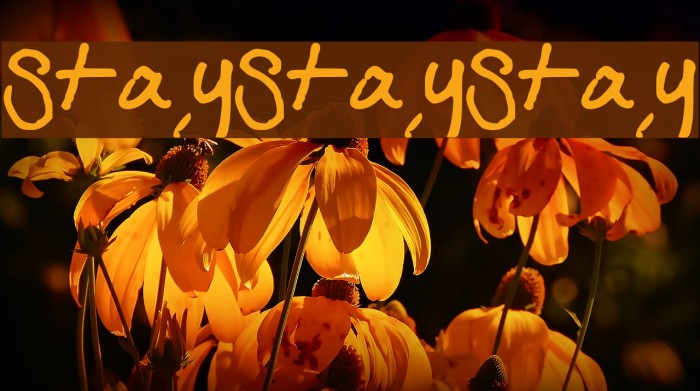 StayStayStay Example 1