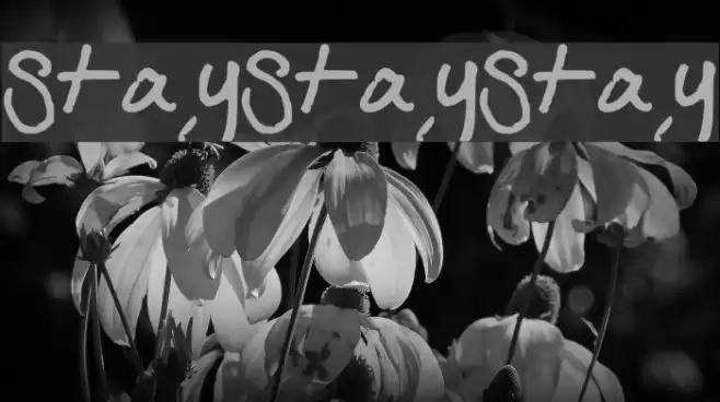 StayStayStay Font examples